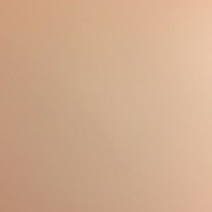 Meet your Posher, Mina